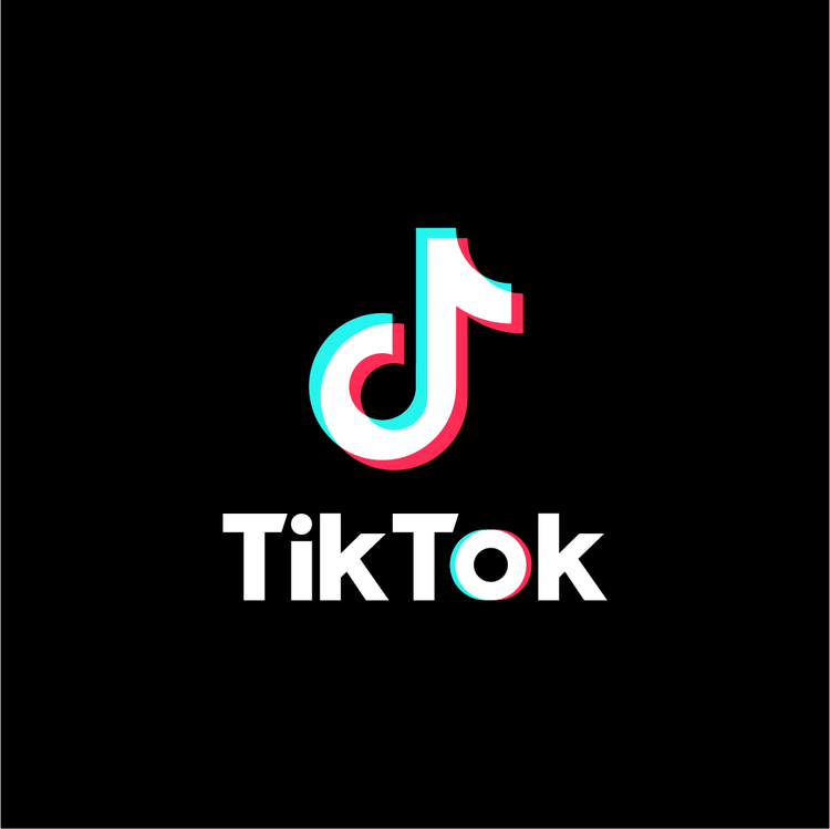 personal finance influencers on tik tok