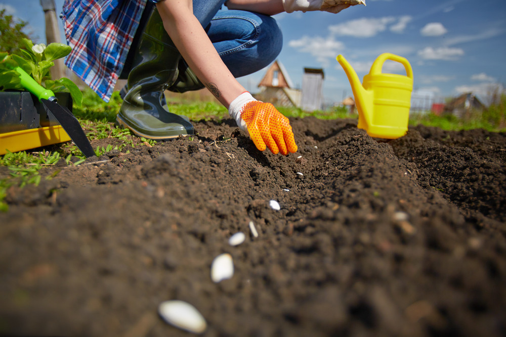farming business