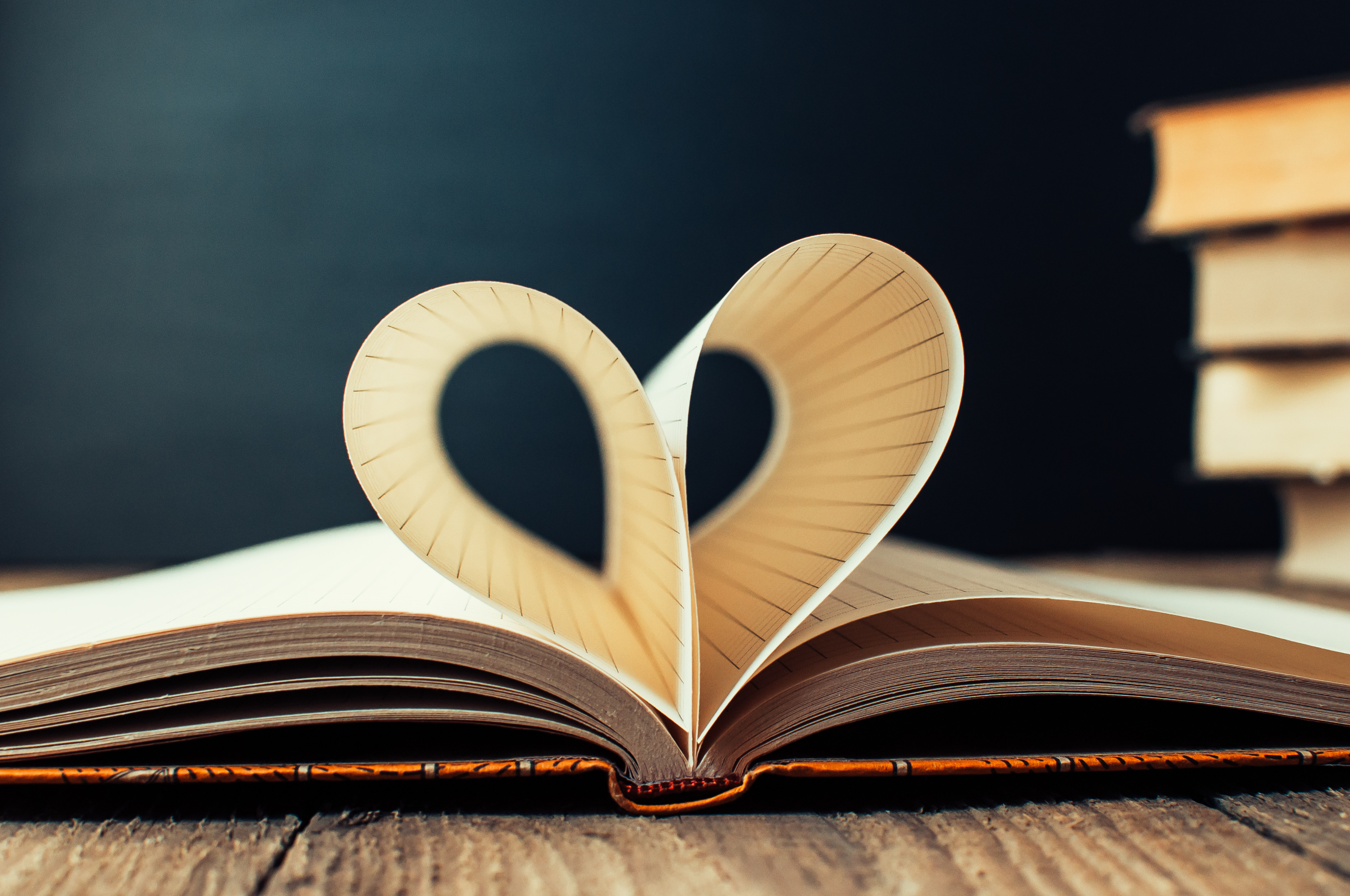 5 Jobs If You Love Reading