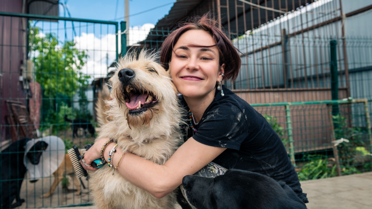 Dog at the shelter. Animal shelter volunteer takes care of dogs. Lonely dogs in cage with cheerful woman volunteer.