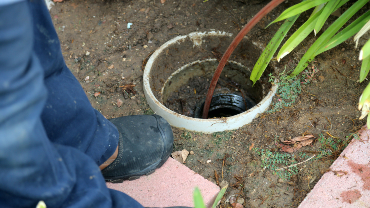 Sewer cleaning. A plumber uses a sewer snake to clean blockage in a sewer line.