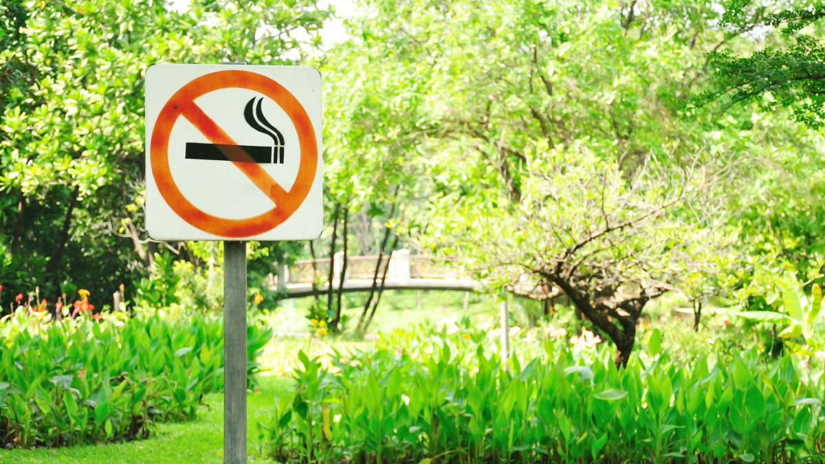 no smoking metal sign in the park.