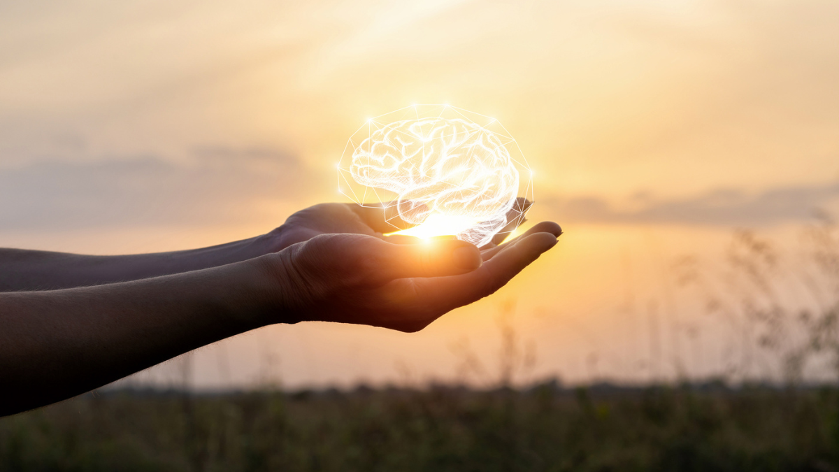 Hands support the brain in the sun.