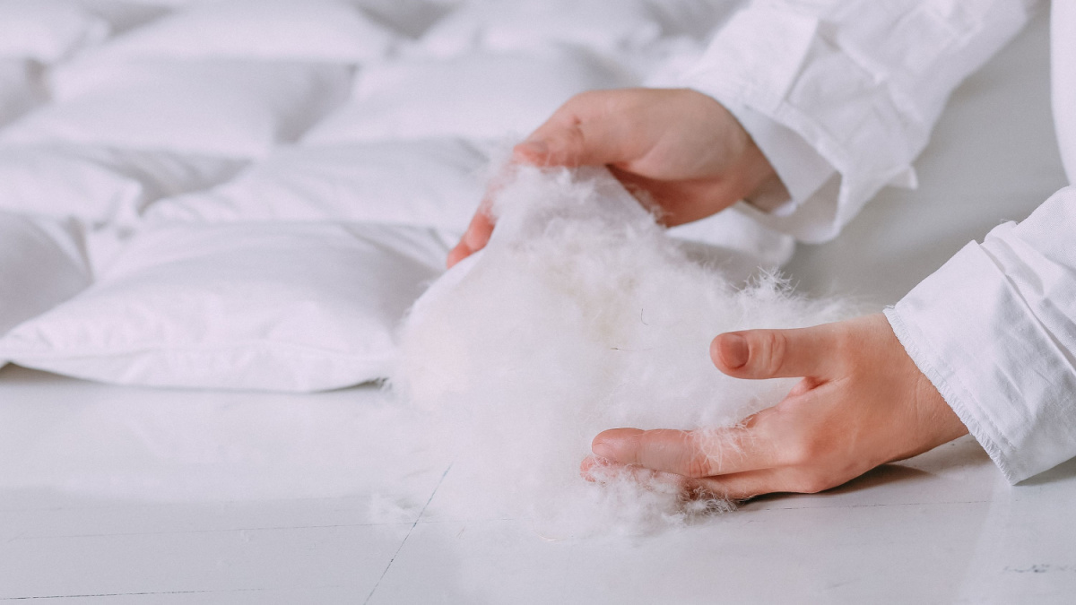 production of down duvets work with feather products light white fluff keeps in hands view from sides.