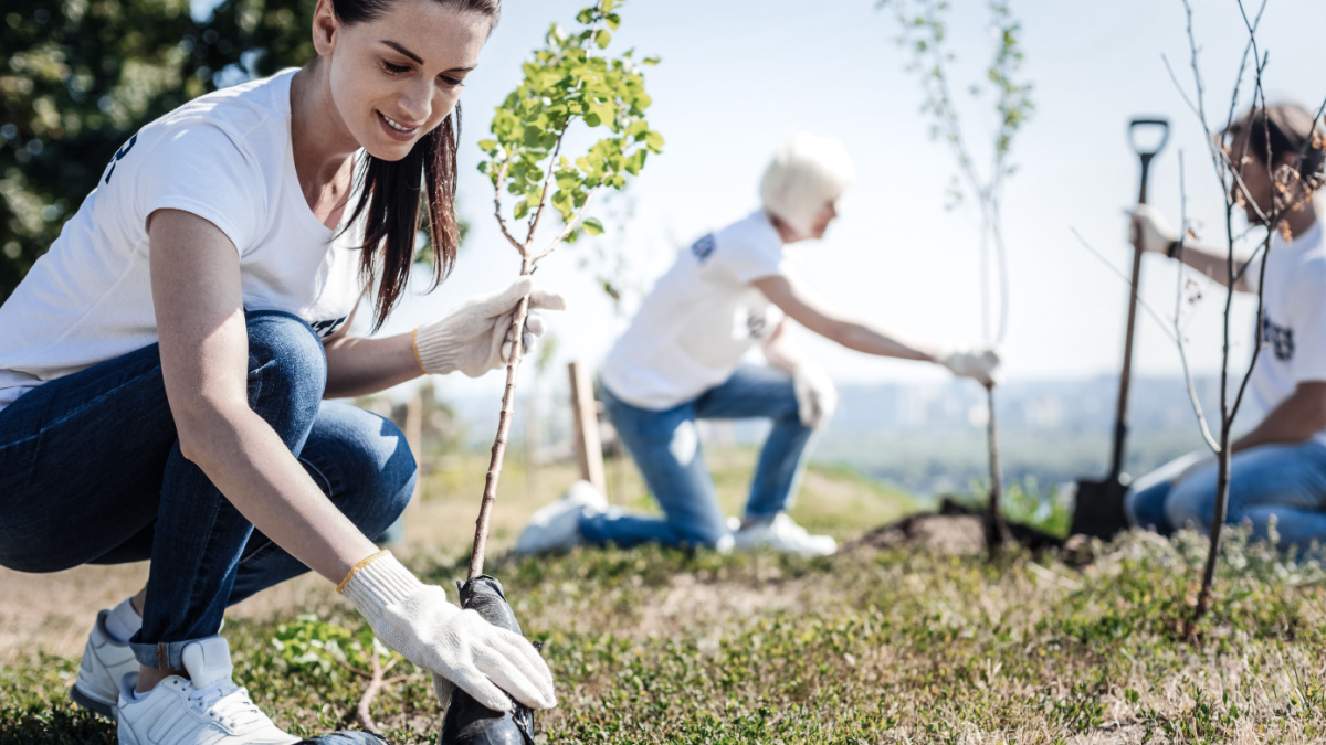 Eco protection. Nice young attractive woman wearing gloves and holing a tree while intending to plant it