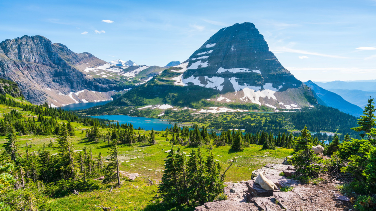 logan pass trail in Glacier national park on sunny day, Montana,usa.