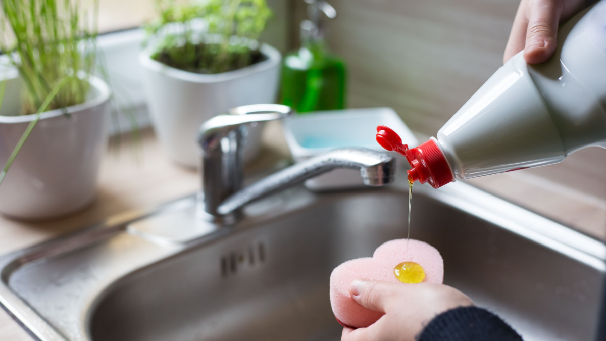 Hands of young woman getting detergent on a sponge