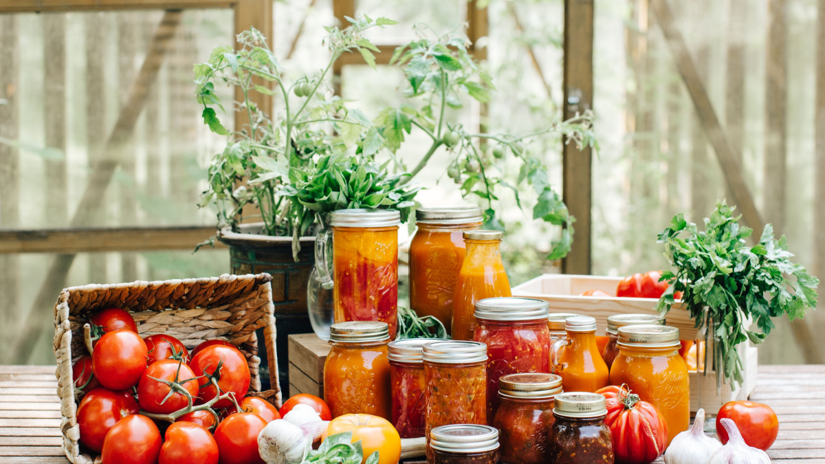Homemade canned tomato sauce and chilli chutney in glass jars for winter on wooden table with basil, garlics, herbs and fresh tomatoes in front of wooden greenhouse