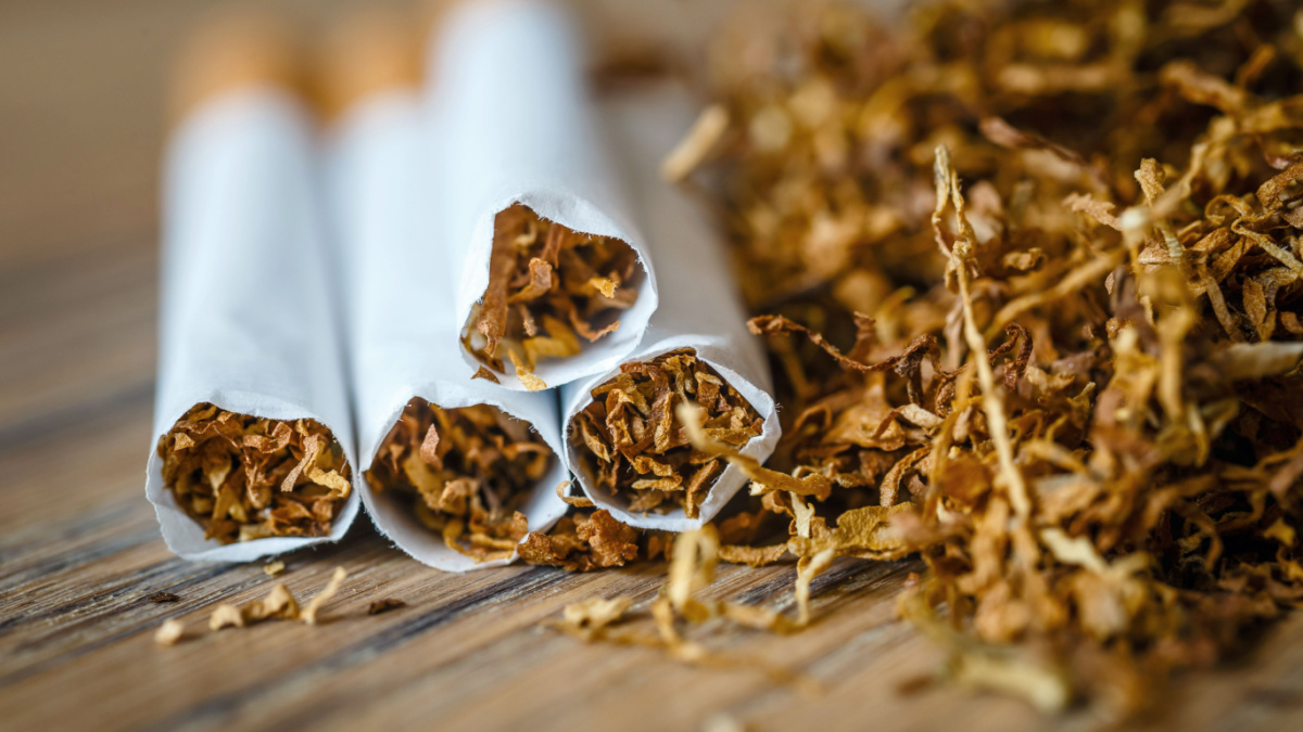 cut tobacco leaves and handmade cigarettes on a wooden background