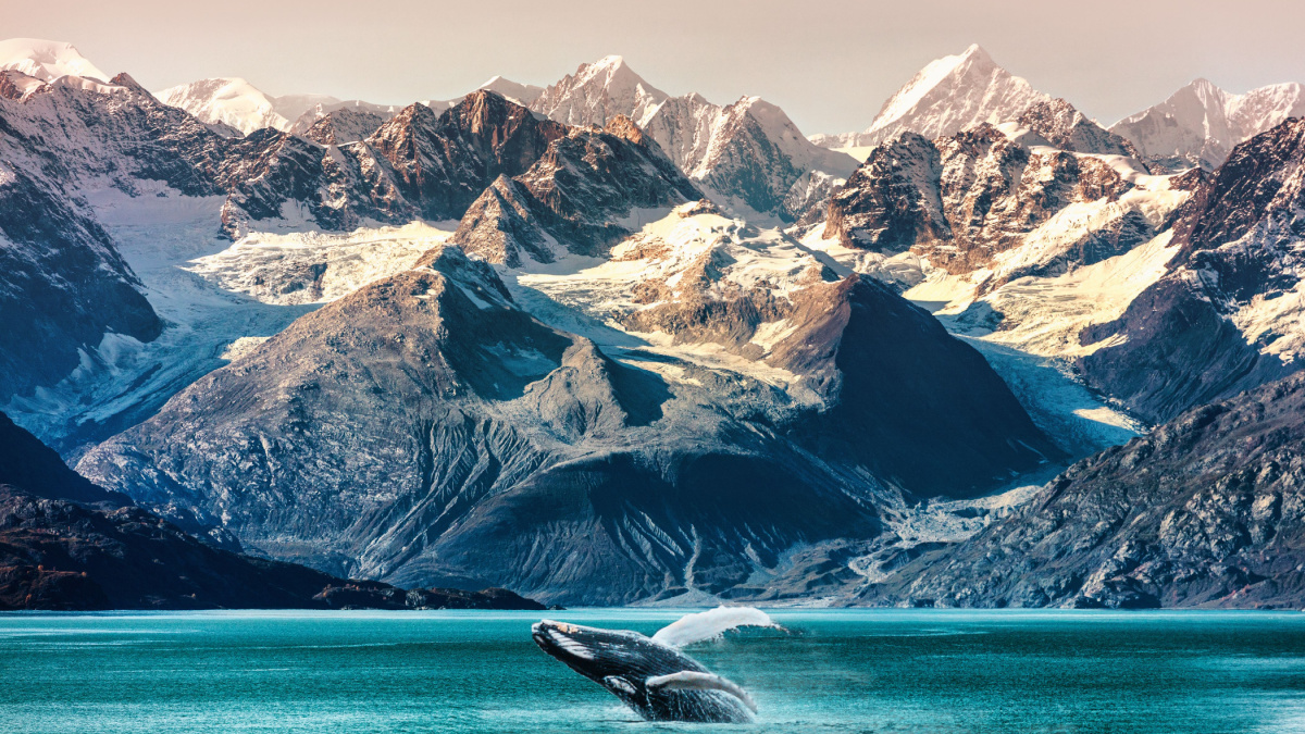 Alaska whale watching boat excursion. Inside passage mountain range landscape luxury travel cruise concept.