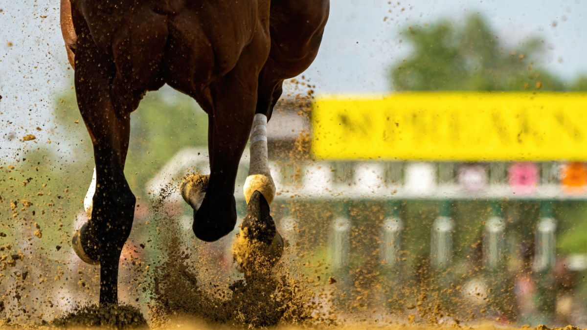 A horse gallops past, kicking up dirt.