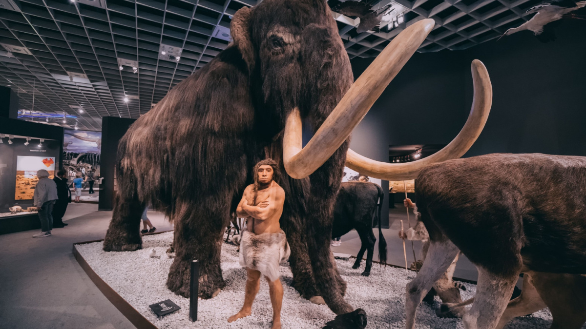 Ancient extinct woolly mammoth and the figure of a human hunter nearby, in the interior of the Museum of Natural History