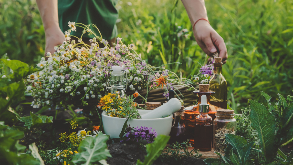 15 Frugal Behaviors That Are Perfectly Fine (No-You're Not Cheap) 13 A woman collects medicinal herbs.