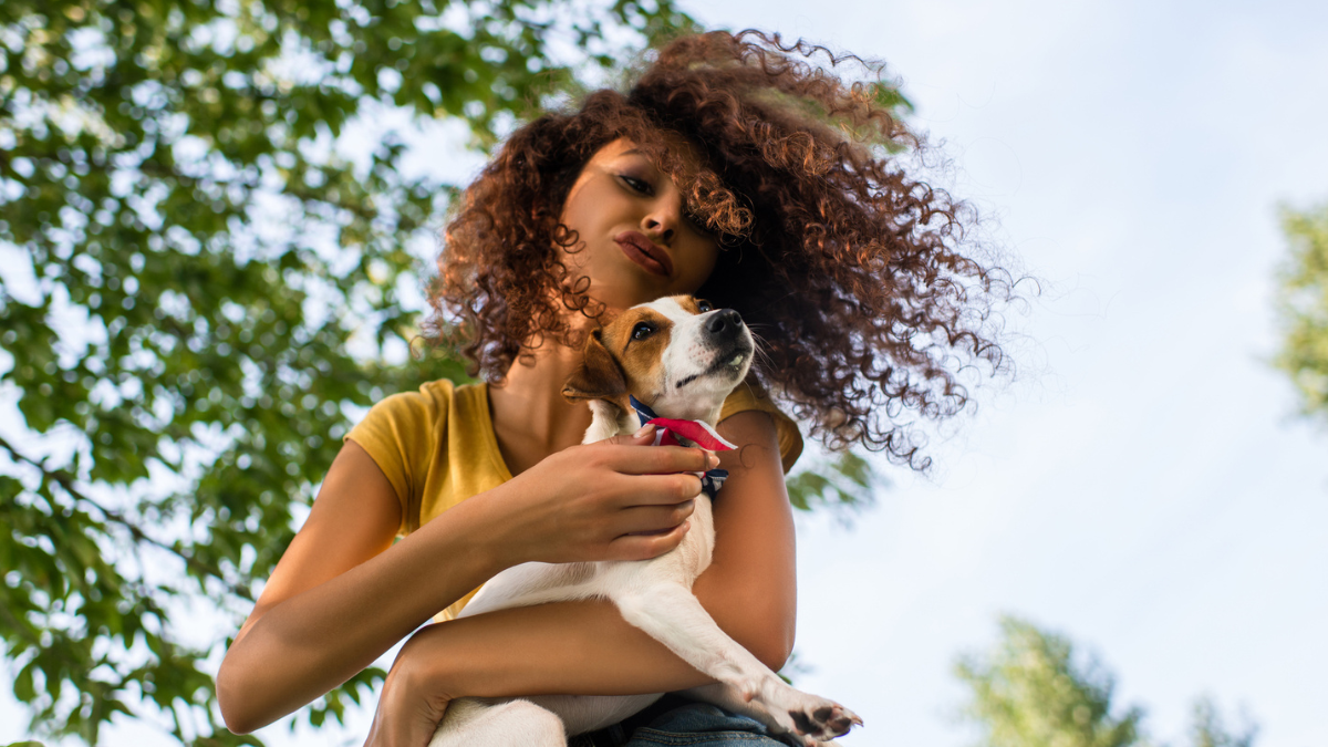 Low angle view of curly woman holding jack russell terrier dog.