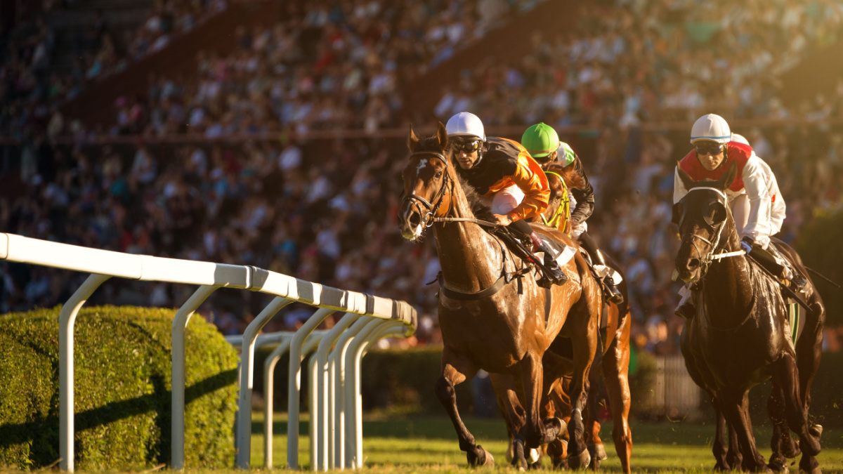 Two jockeys during horse races on his horses going towards finish line. Traditional European sport.