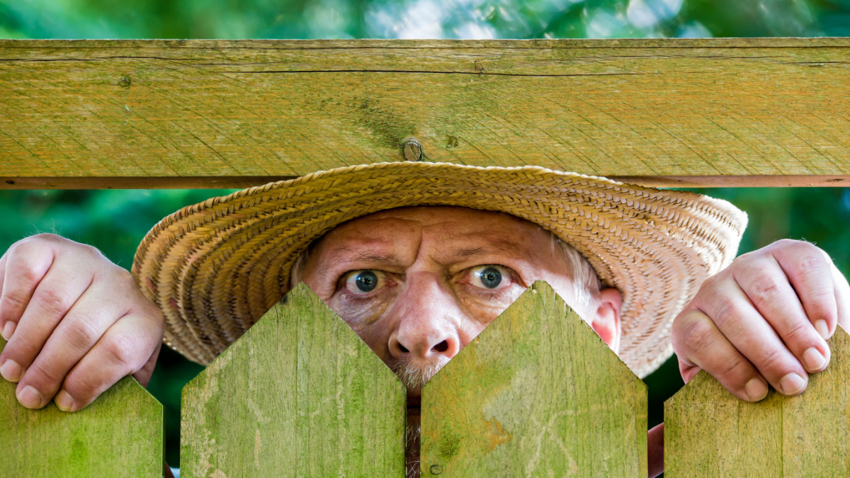 a curious neighbor looks over a garden fence.
