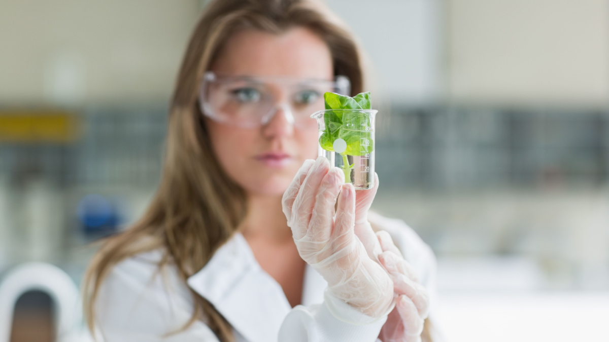 Concentrate woman standing at the laboratory holding a glass with plant.