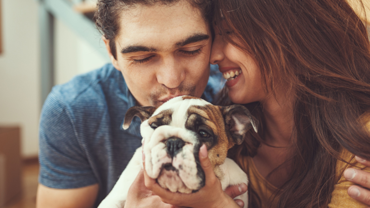 The young happy couple is moving into a new house. They are hugging their little puppy after bringing boxes with things to their new home.