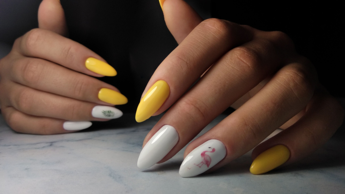 Yellow gel polish on long pointed nails with white design and drawings. Manicure with white design and drawn pink flamingo and green twig on white background.