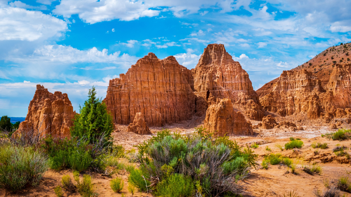 Gorgeous dessert scene along the Juniper Draw Trail, Cathedral Gorge State Park, Nevada - plants and land formations