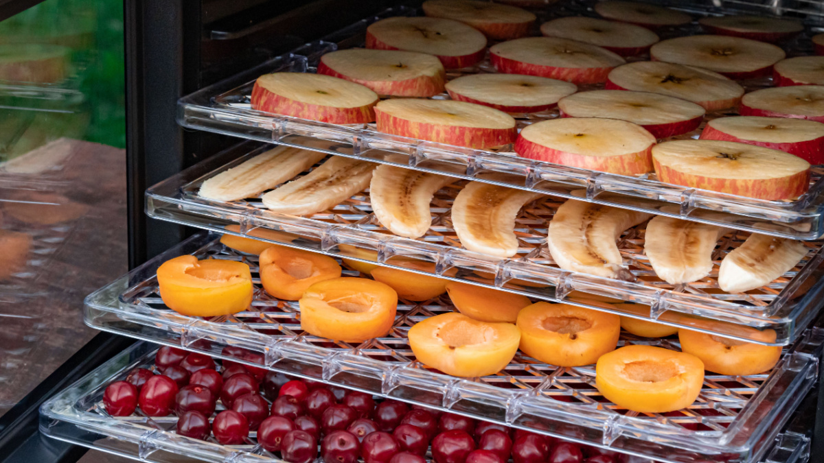 Electric drying machine for dehydration of products with horizontal loading of pallets. There are apples, bananas, apricots and cherries on the pallets. Close-up, natural light.