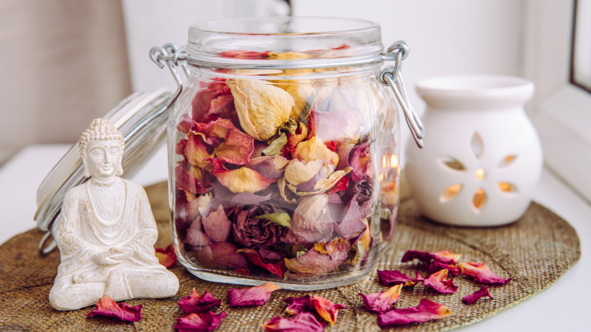 Using dry rose petals to make rose potpourri which is great for home scent. Mason jar filled with dry rose petals and puds with meditating Buddha figurine and aroma lamp with candle next to it.