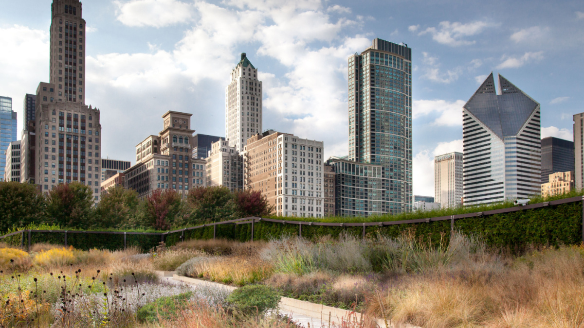 Low angle view of skyscrapers in a city, Chicago, Cook County, Illinois, USA