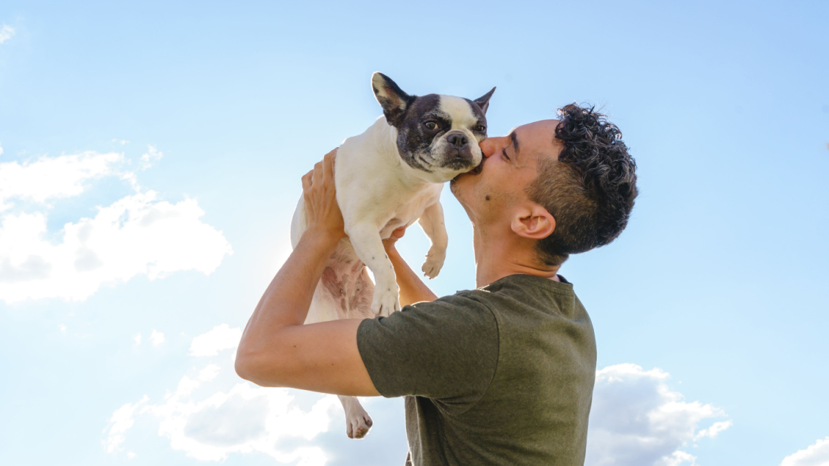 Happy man holding up a bulldog. Horizontal view of man with pet outdoors. Lifestyle with animals