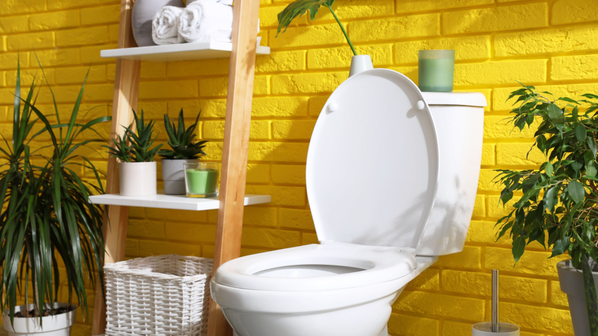 Stylish bathroom with toilet bowl and green plants near yellow brick wall. Interior design