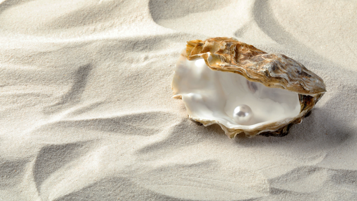 Open oyster with white pearl on sand