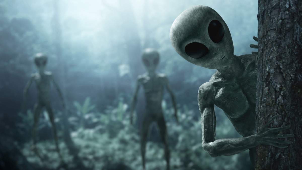 Aliens creature in the forest