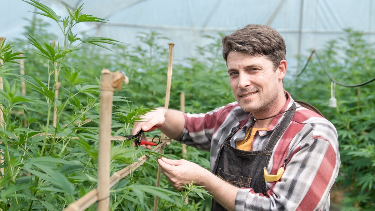 person grower planting.
