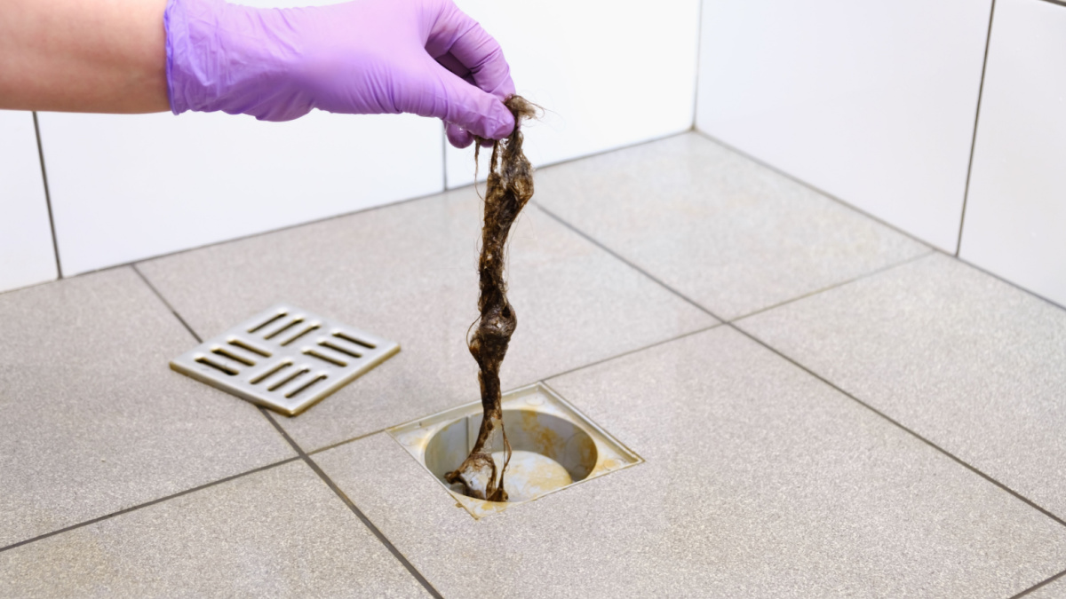 Water drain hole is clogged with hair clump. Woman hand in gloves is cleaning the bathroom sewer trap. Close-up. Clean shower sewerage. Bath plug hole blocked with dirt. Hair loss problems. Anti-odor.