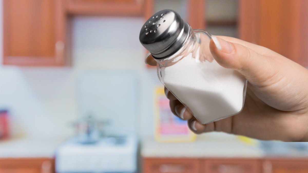 Salt Shaker