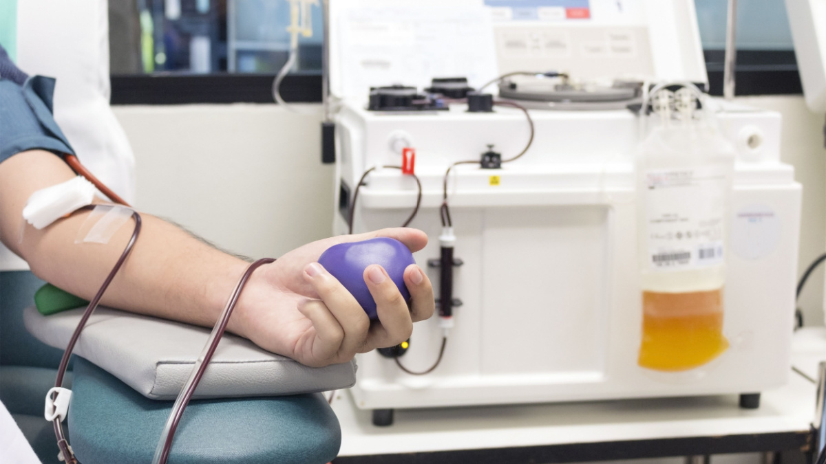 Blood Plasma Donation process, hand squeezing a rubber ball