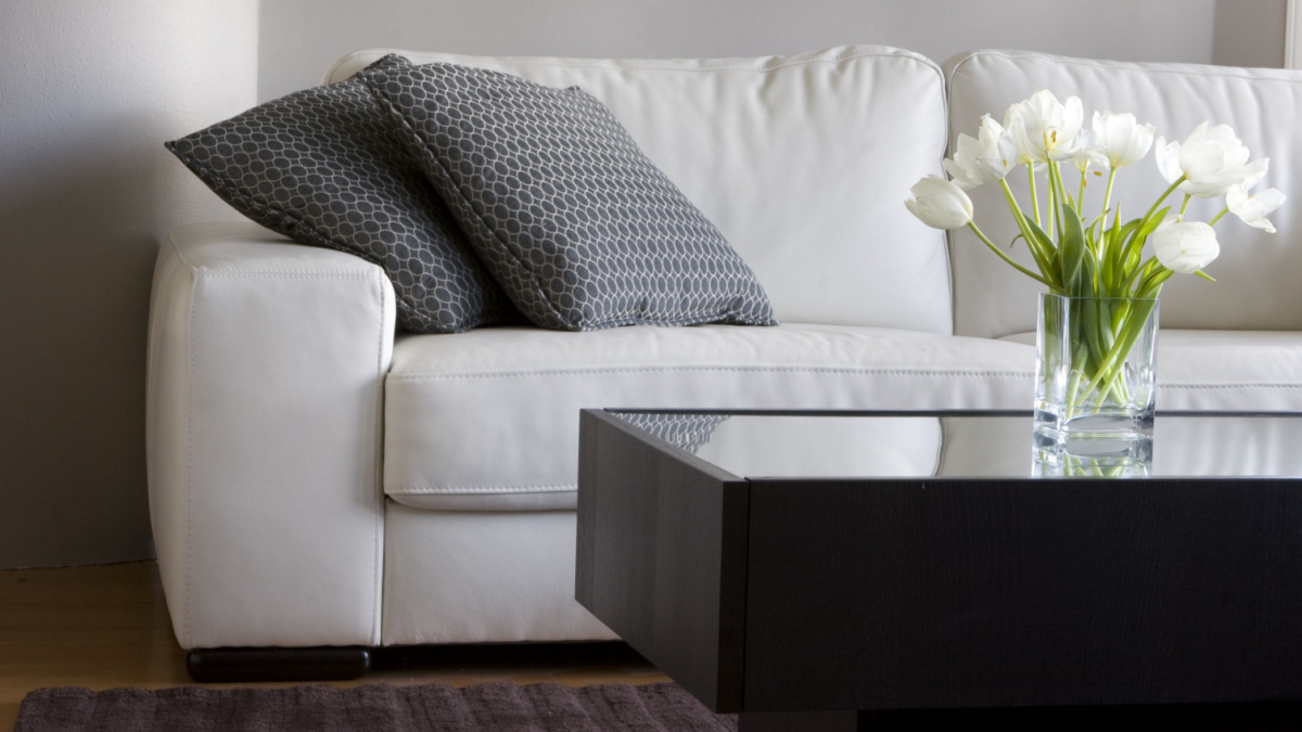 white tulips in modern living room