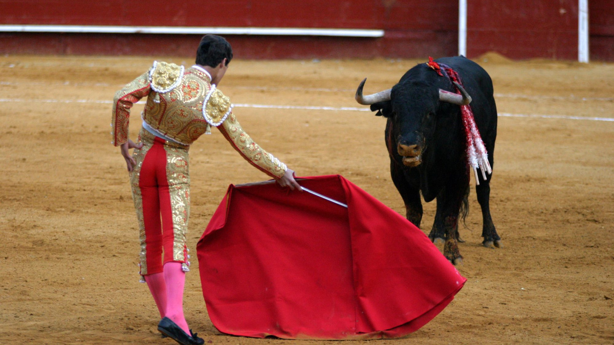Bullfight