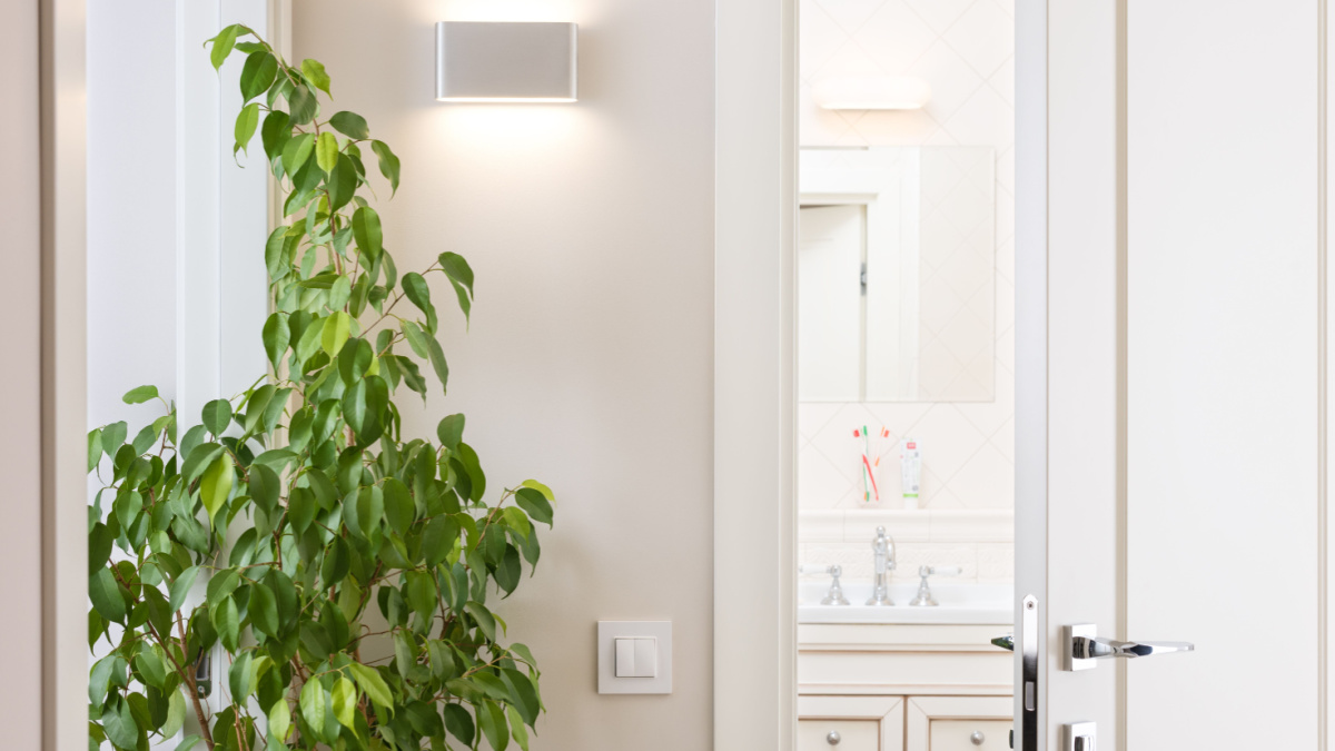 Ajar white door in the bright bathroom. Series switch and modern wall lamp on light gray wall. Chrome door handle and lock. Green houseplant