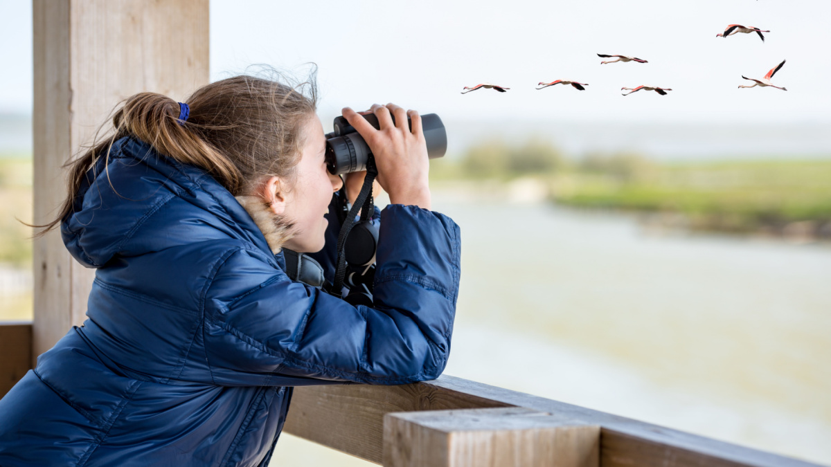 Young girl bird watching