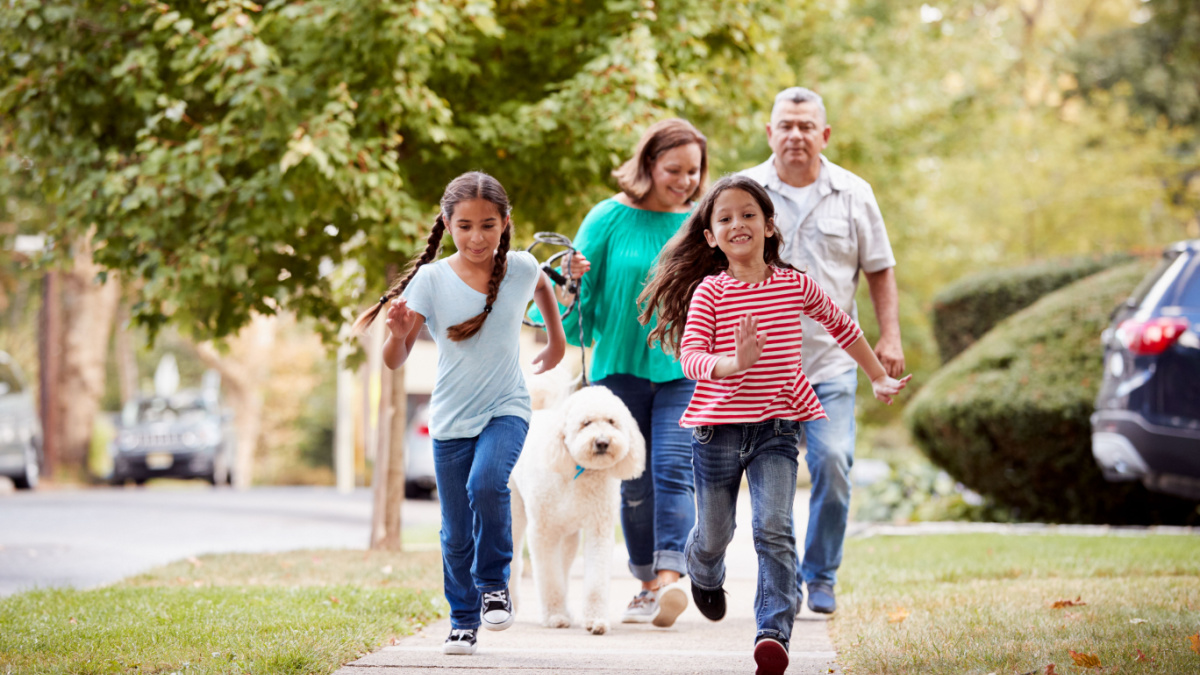 Grandparents And Granddaughters Walking Dog Along Street