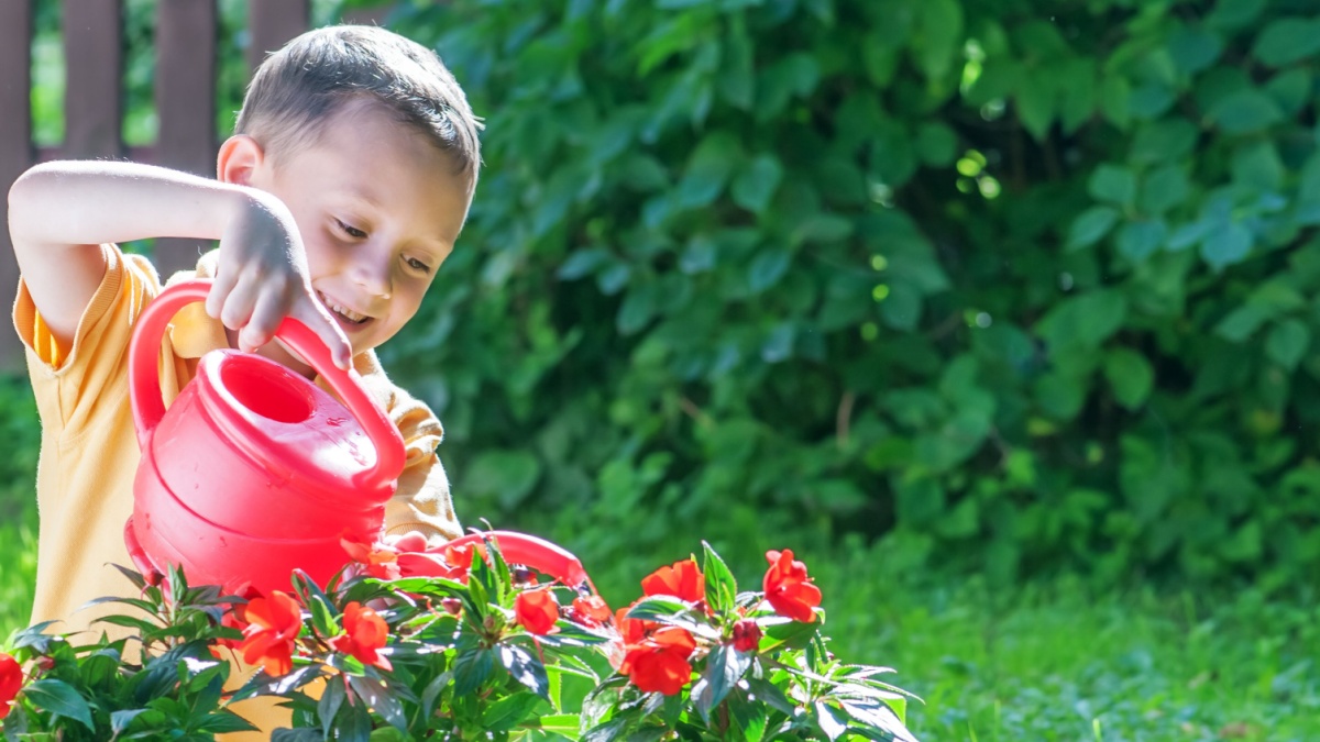 boy with watering can on garden