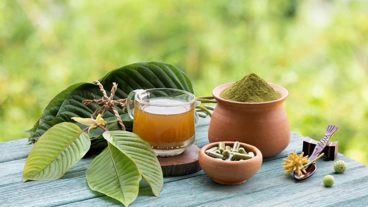Kratom or Mitragyna speciosa on natural background.