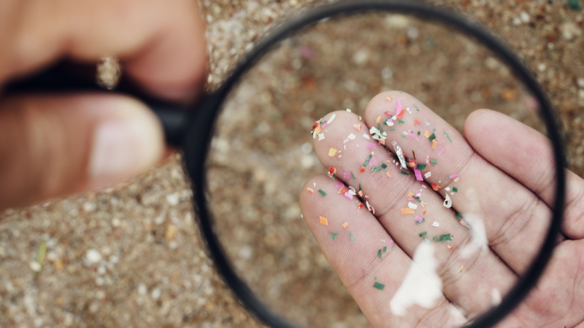 Microplastics at hand, microplastics, air pollution, aquatic microplastics, food microplastics.