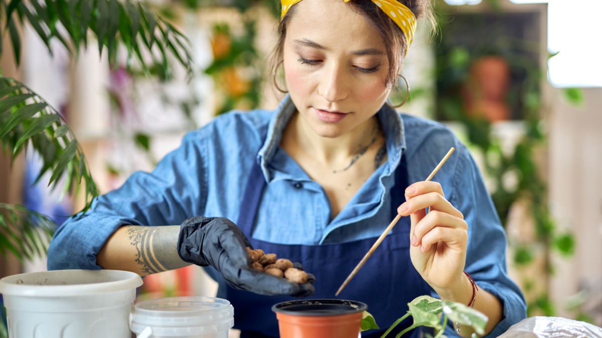 Young woman pouring drainage into flower pot while preparing for plant transplantation in living room at home.