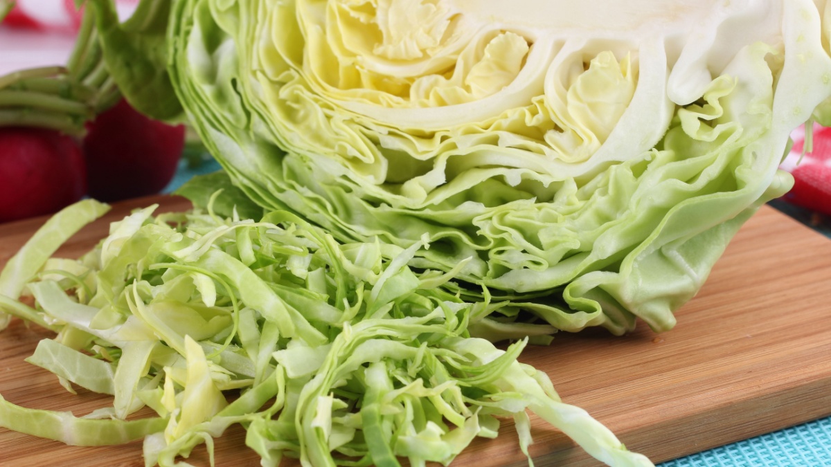 Sliced cabbage on the table. To cut a young cabbage. Green cabbage. To grow cabbage. To cook food. Fresh vegetables. Radish and cabbage. To prepare the salad. Cabbage soup diet. Benefits of cabbage.