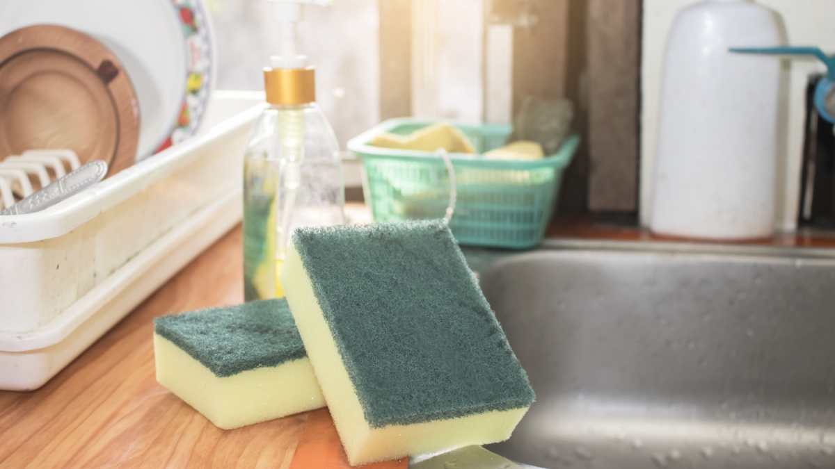 sponge kitchen wash cleaning