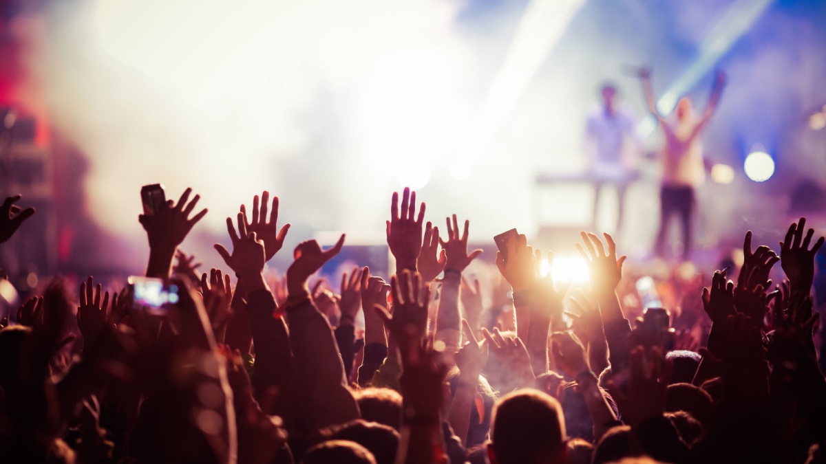 crowd at concert - summer music festival