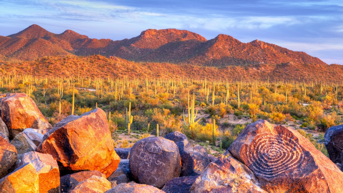 Hohokam Petroglyphs, on Signal Hill in Saguaro National Park, at sunset.