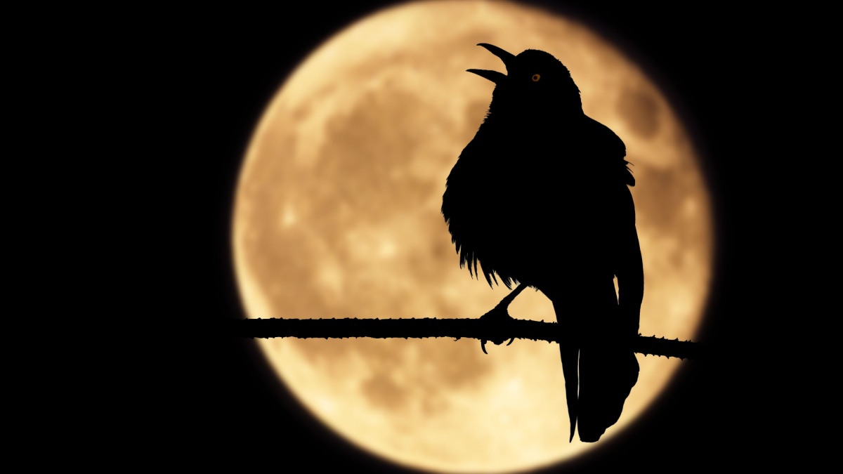 A silhouette of a raven perched on a branch with its beak wide open. The bird, framed by a full moon, shrieks into the moonlit night while emitting a mysterious red glow from its eye.