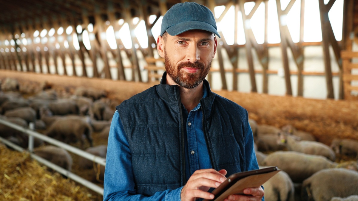 Portrait of Caucasian man shepherd smiling at camera in shed with cattle animals and using tablet device.